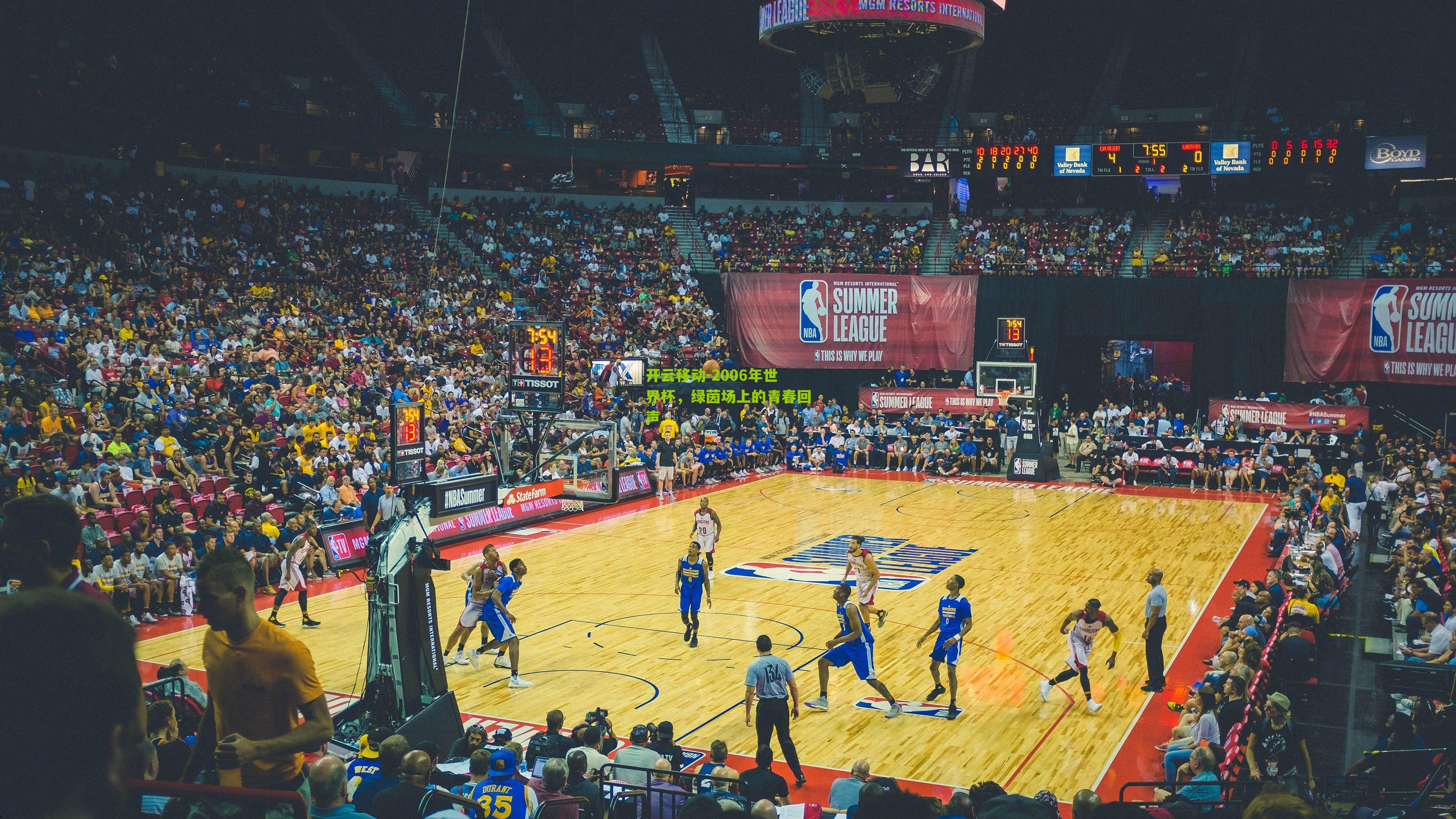 2006年世界杯，绿茵场上的青春回声