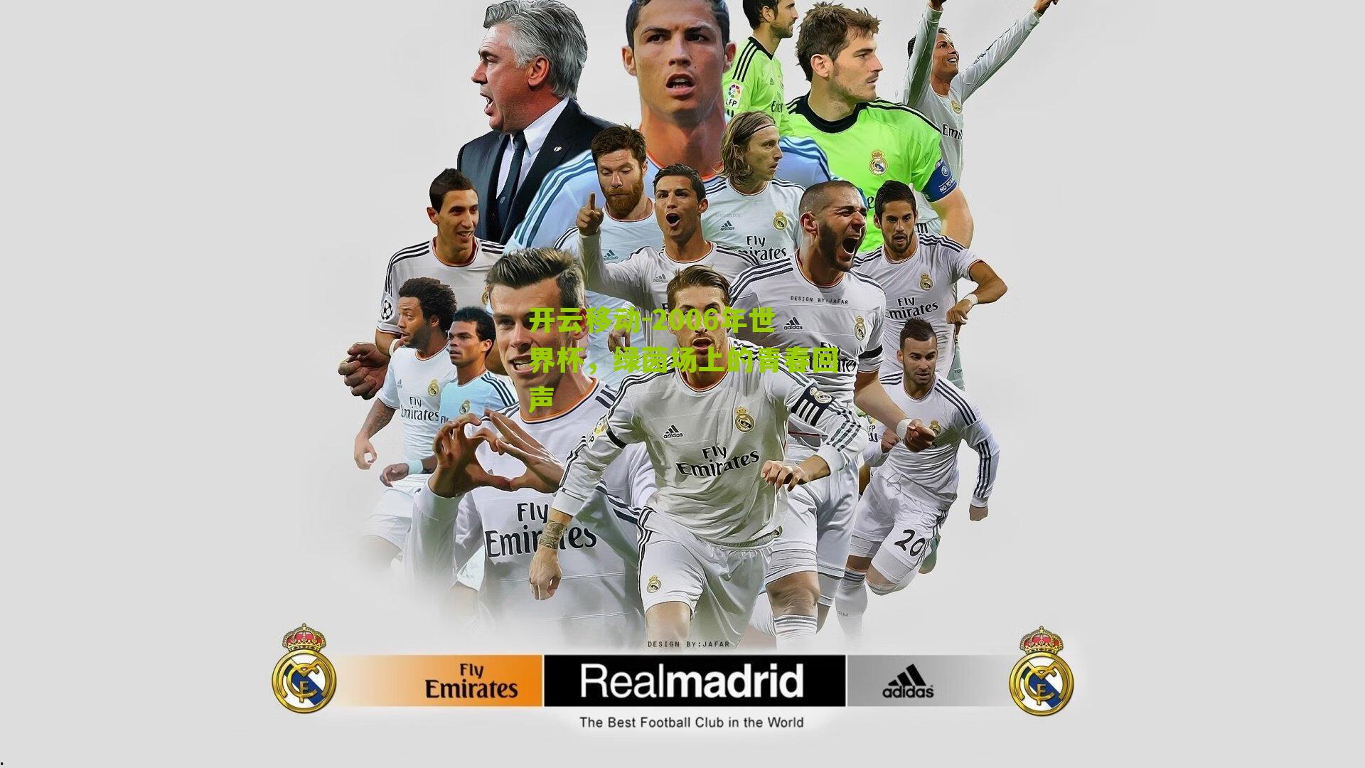 2006年世界杯，绿茵场上的青春回声